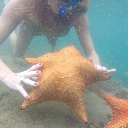 Kitnet Aconchegante A 200M Da Praia Apartment Angra dos Reis Luaran gambar